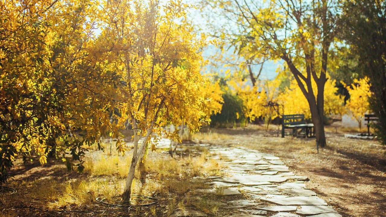 Photo of Outdoor in Olympos