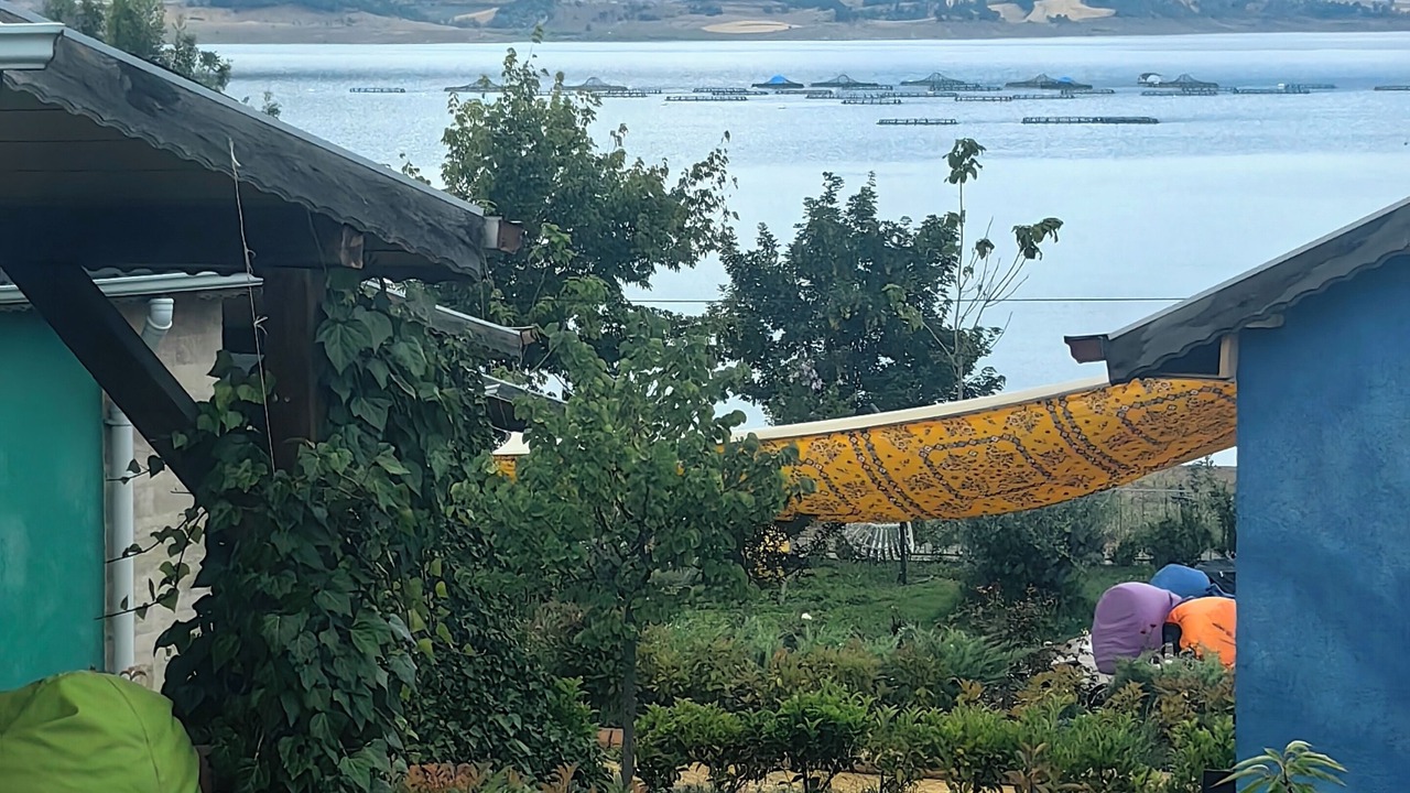 Photo of Outdoor in Almus