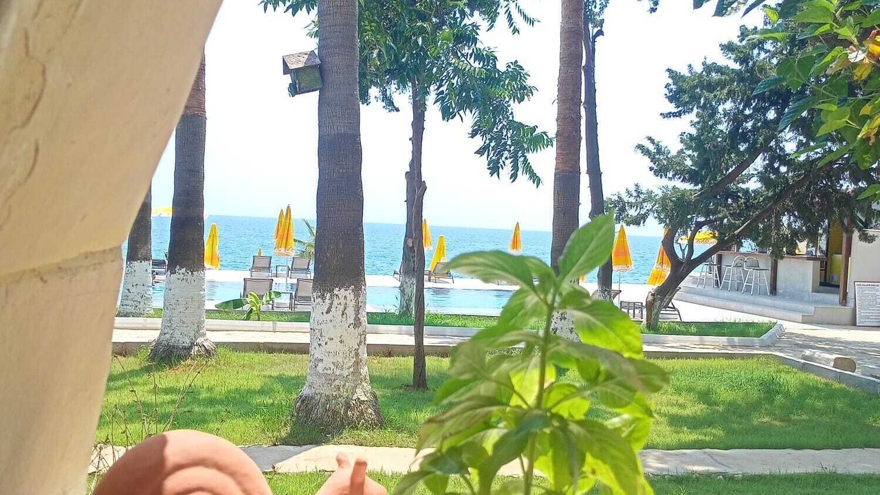 Photo of Others in Artikli