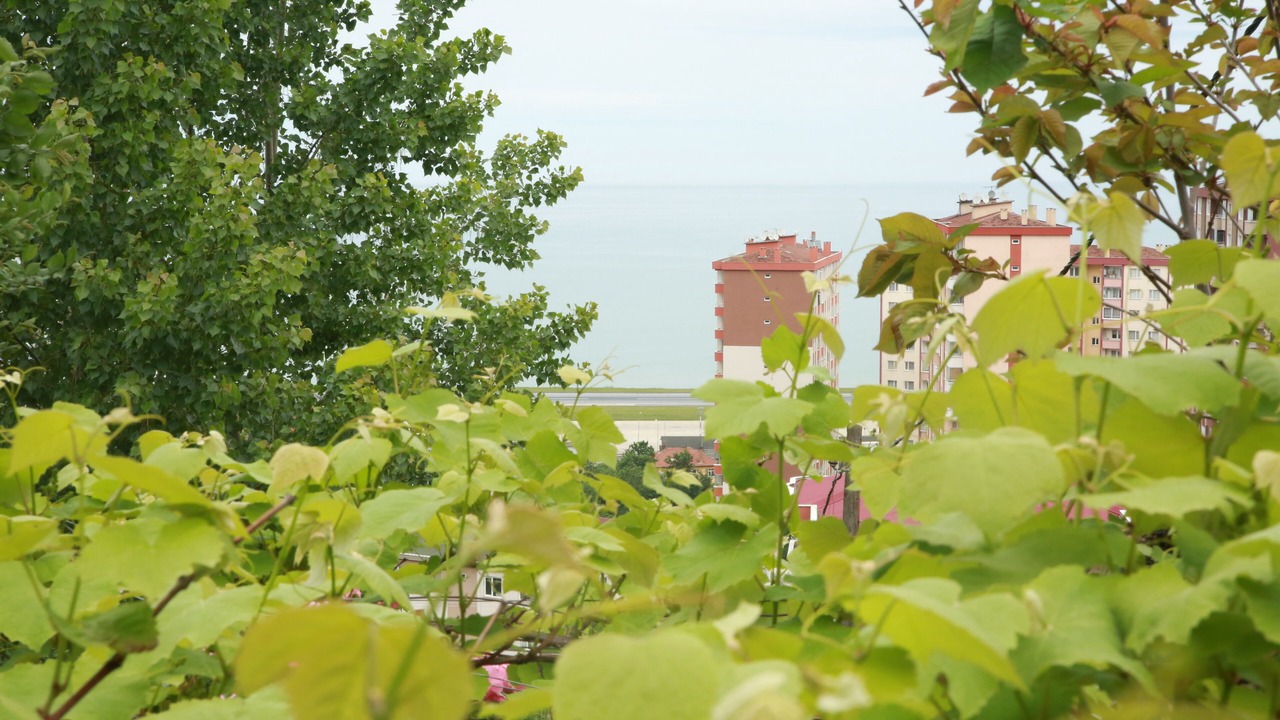 Photo of Patio Balcony in Trabzon