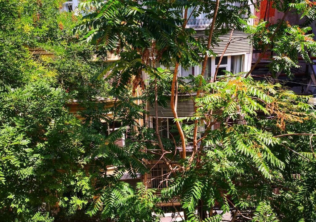 Photo of Outdoor in Taksim