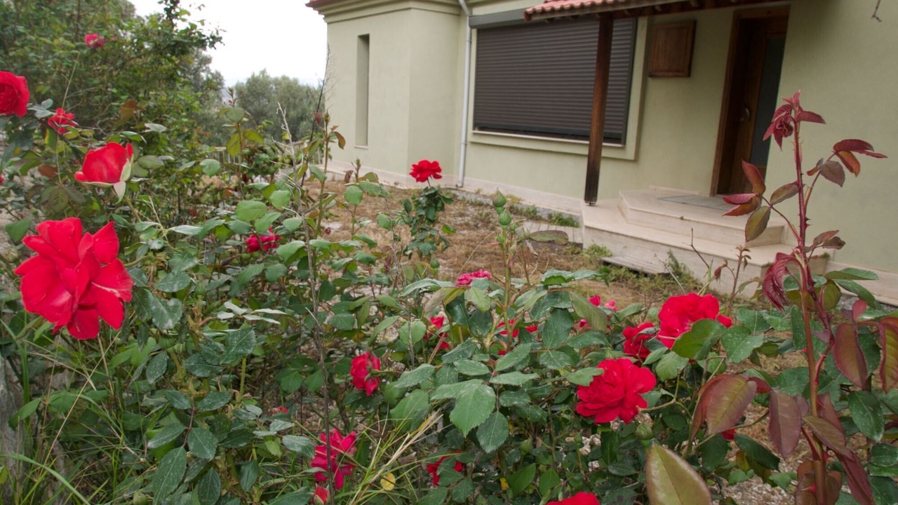 Photo of Outdoor in Sigacık