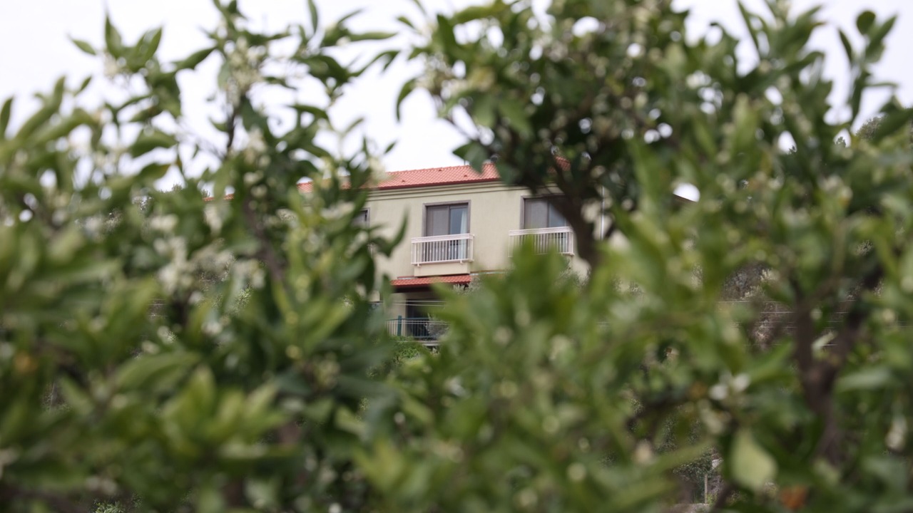 Photo of Outdoor in Sigacık