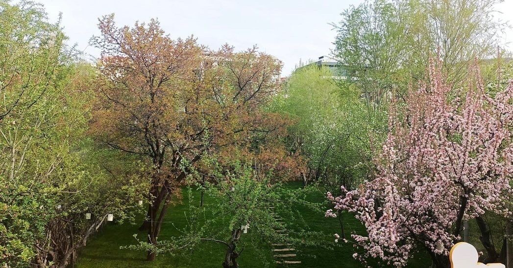 Photo of Others in Edremit