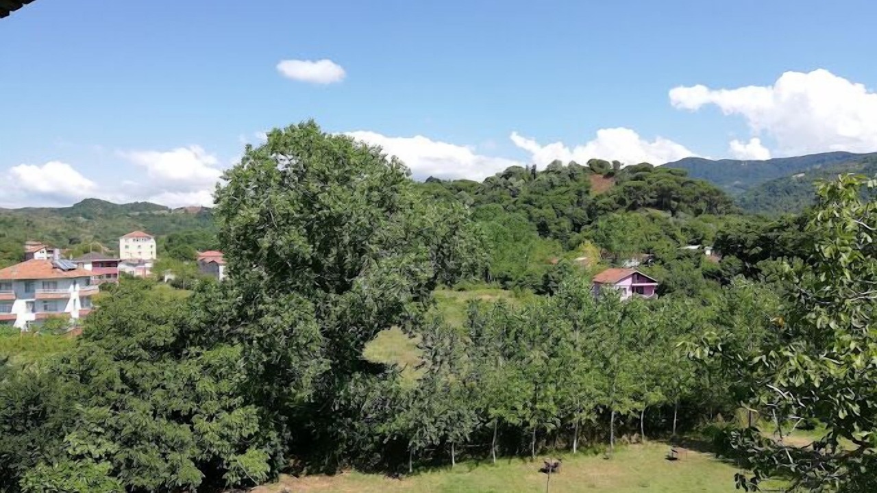 Photo of Outdoor in Cakrazseyhler