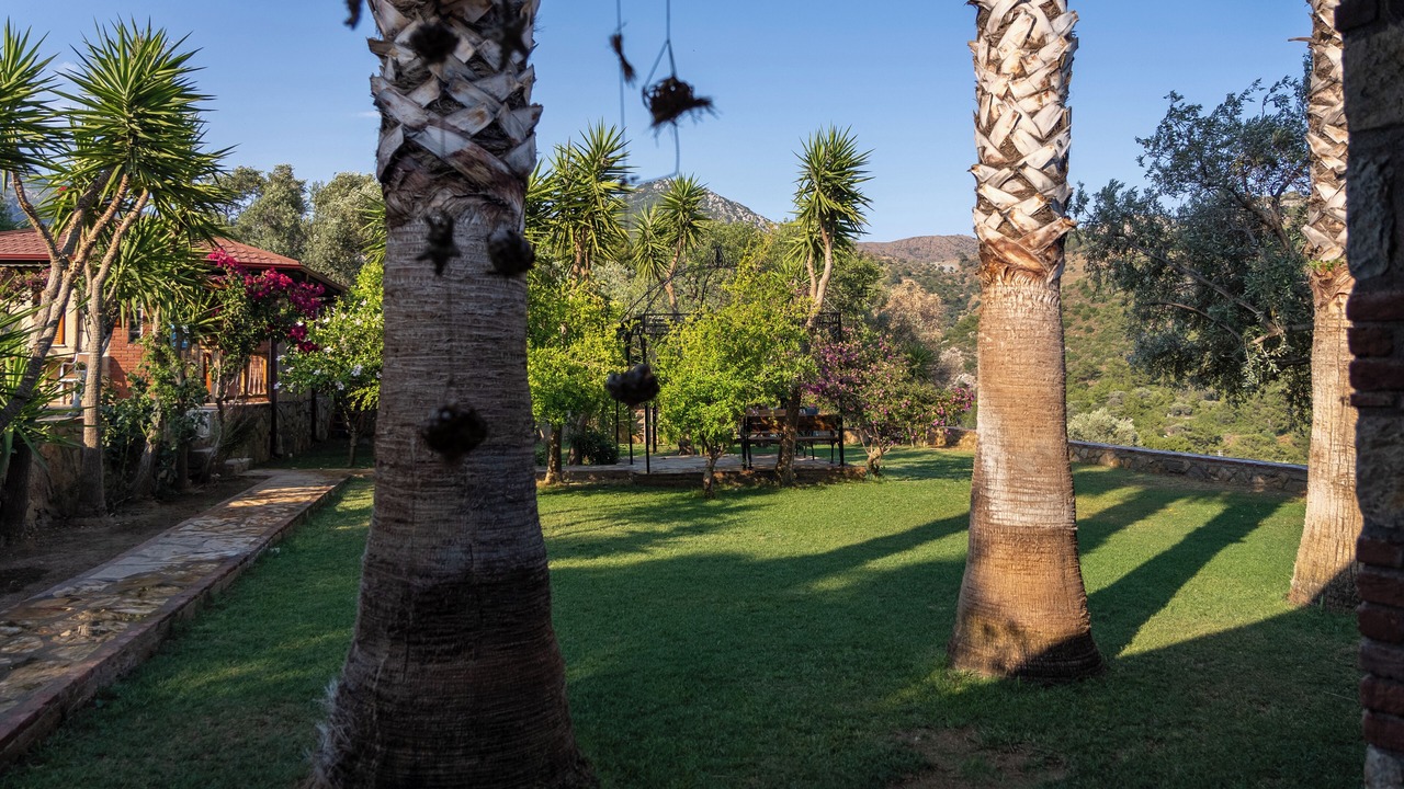 Photo of Outdoor in Mesudiye