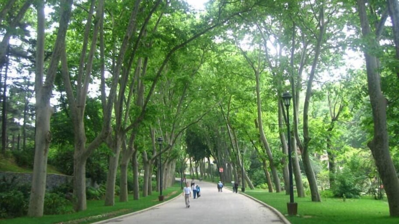 Photo of Others in Cagaloglu