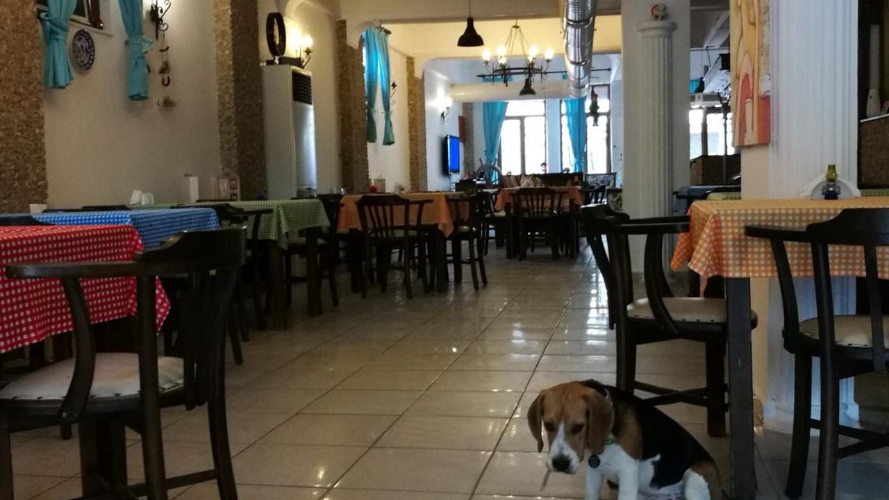 Photo of Others in Ayvalik