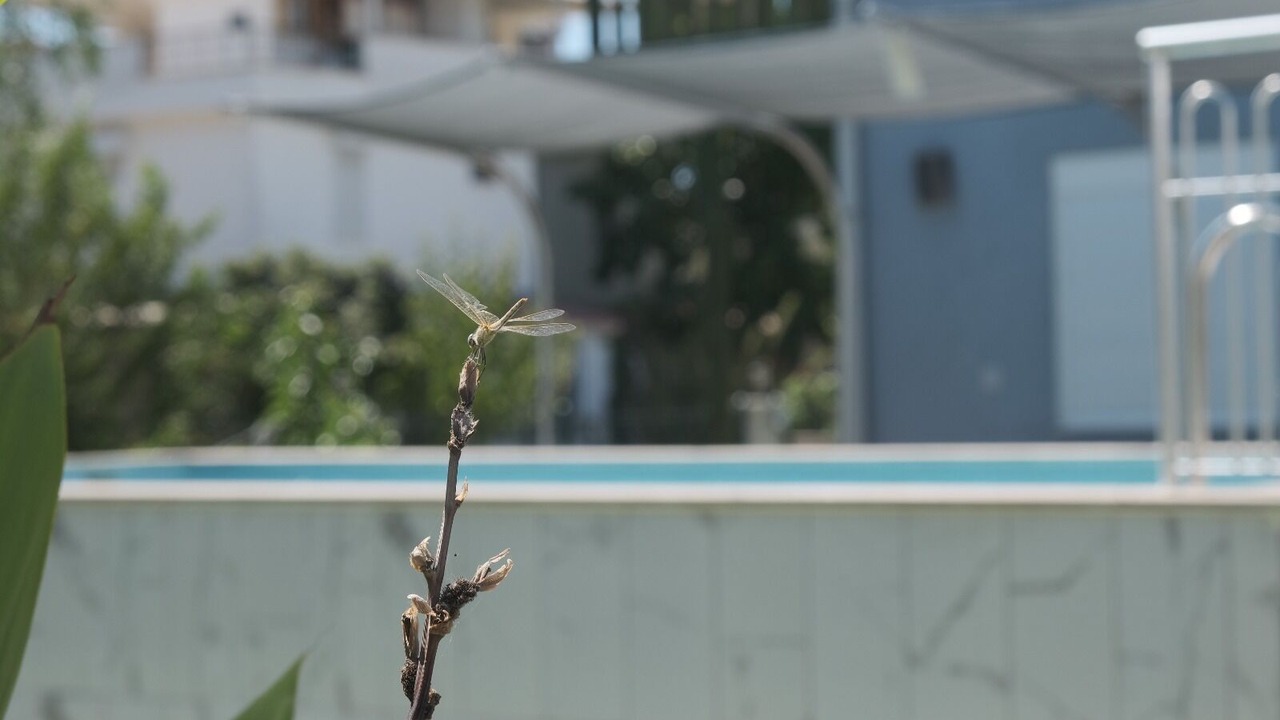 Photo of Outdoor in Bogazkent