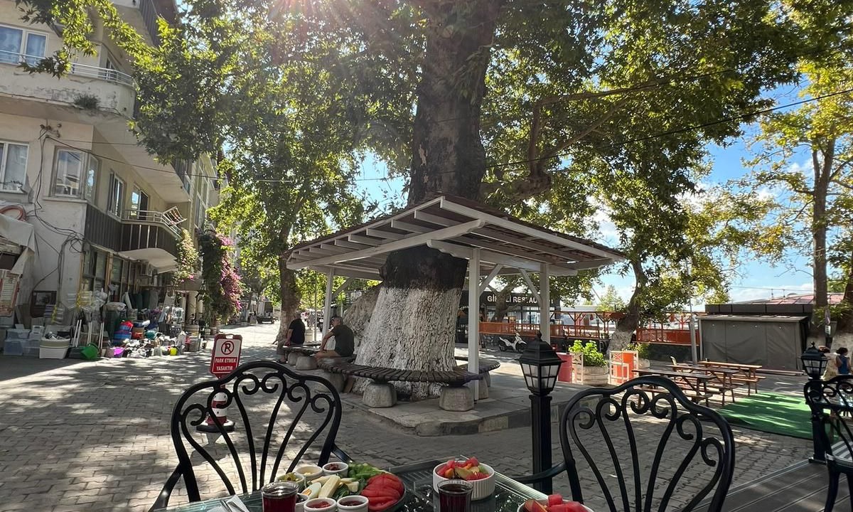 Photo of Others in Marmara