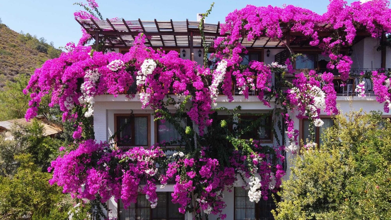 Photo of Outdoor in Datca