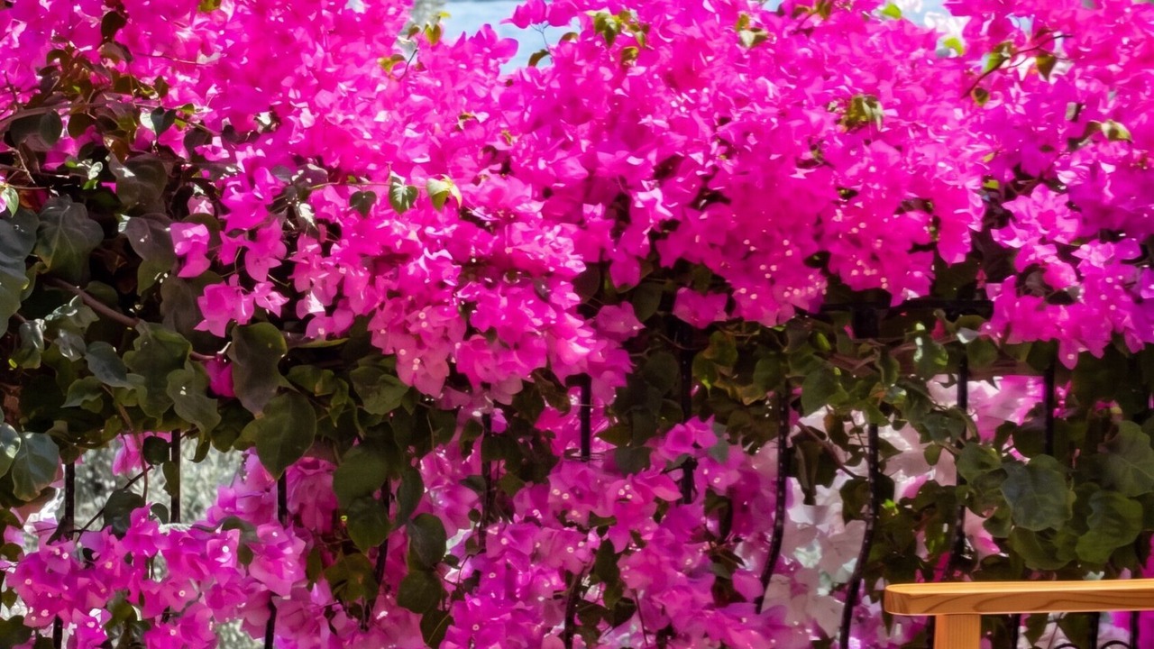 Photo of Outdoor in Datca
