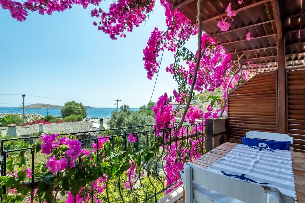 Photo of Outdoor in Datca