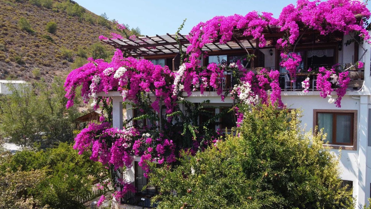 Photo of Patio Balcony in Datca