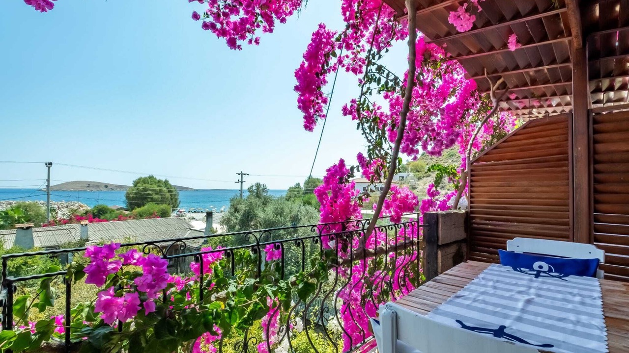 Photo of Outdoor in Datca