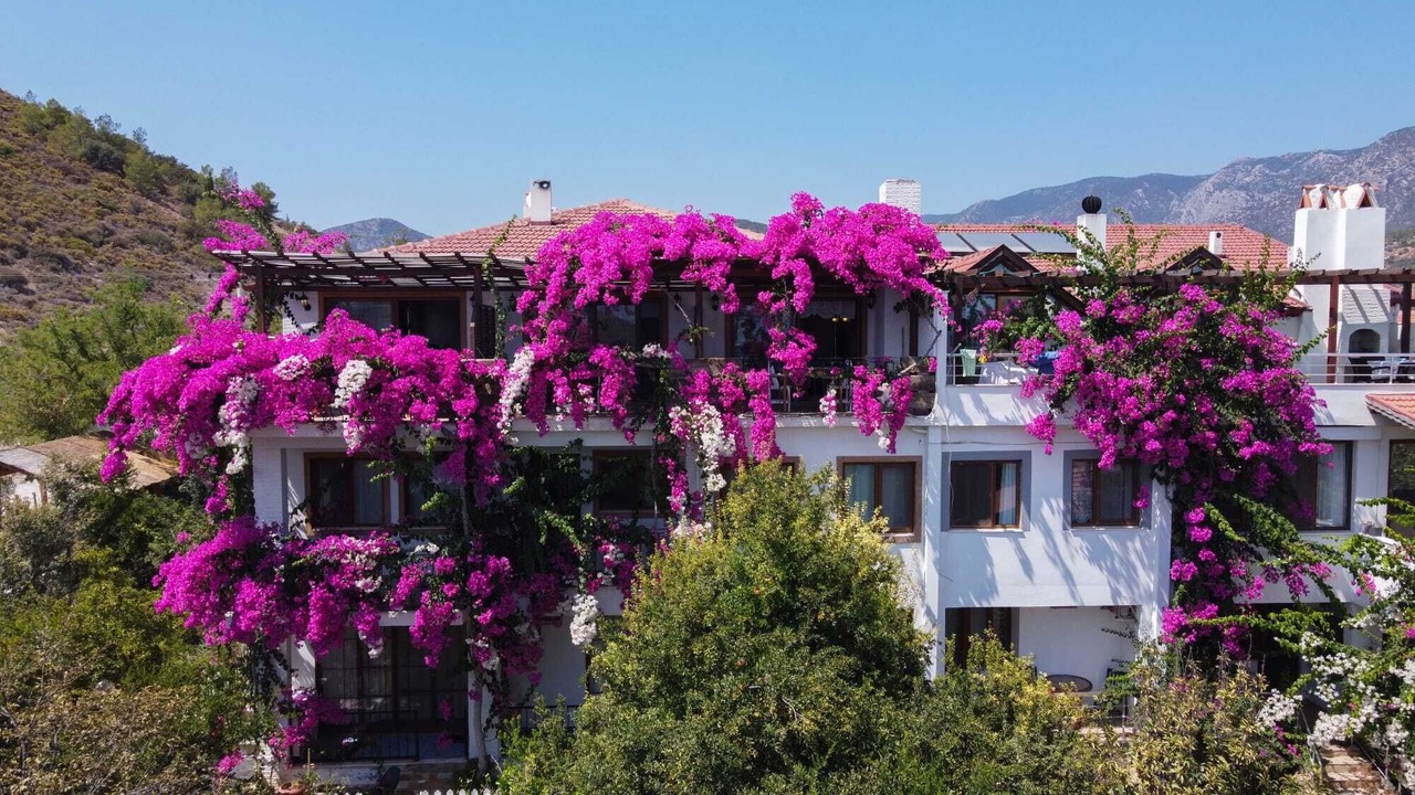 Photo of Outdoor in Datca