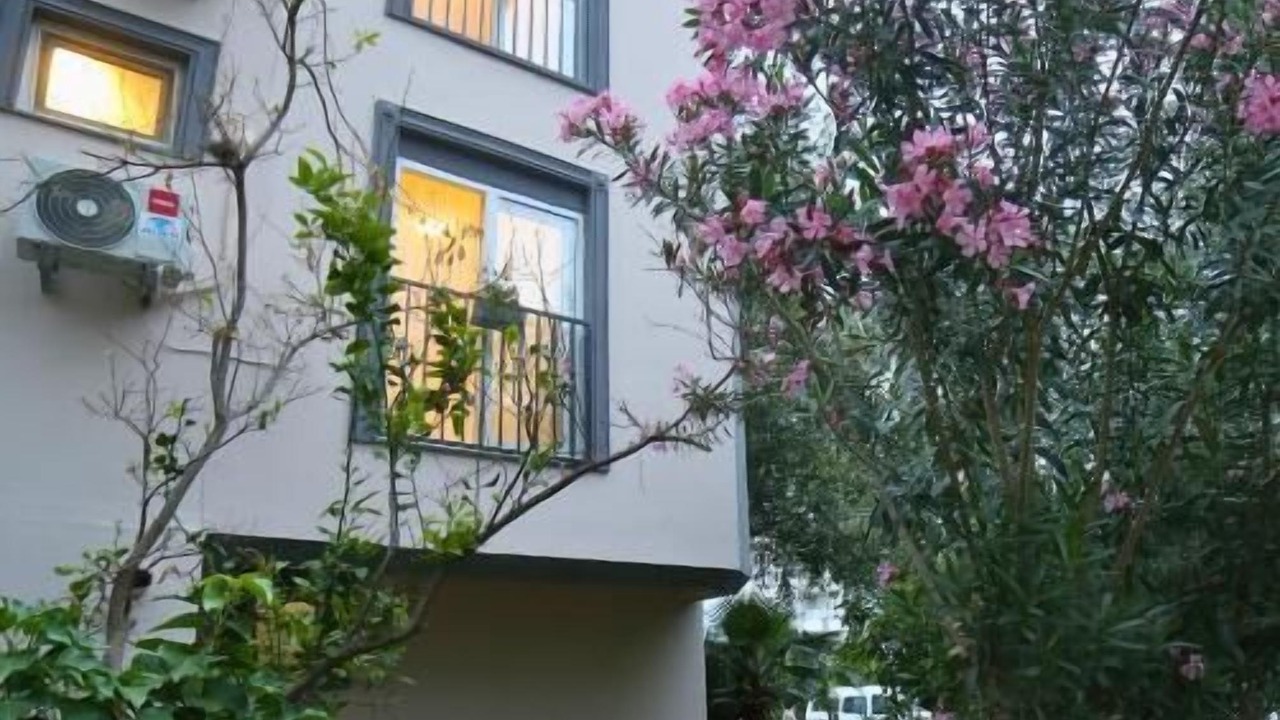 Photo of Outdoor in Lara