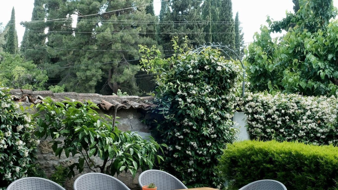 Photo of Outdoor in Adatepe