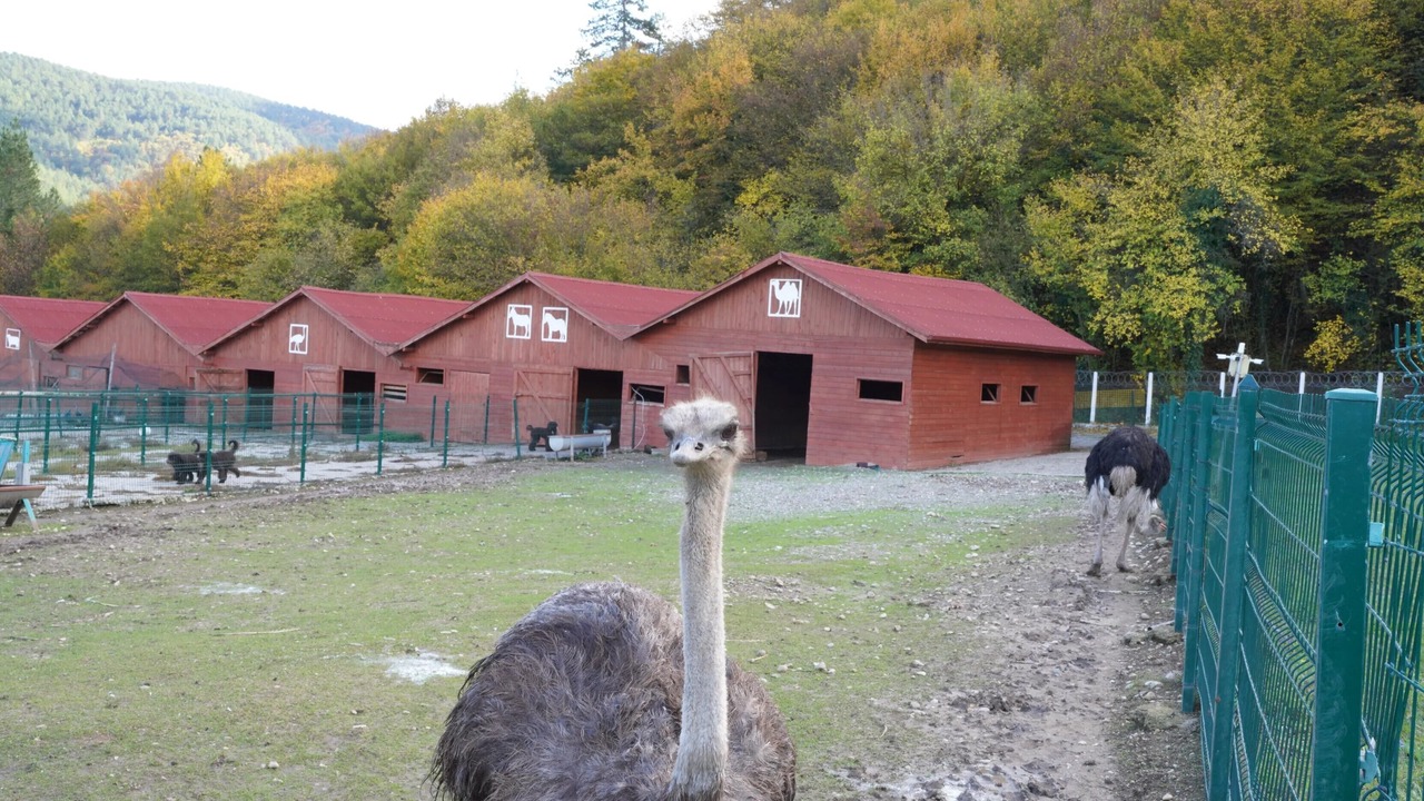 Photo of Outdoor in Mengen