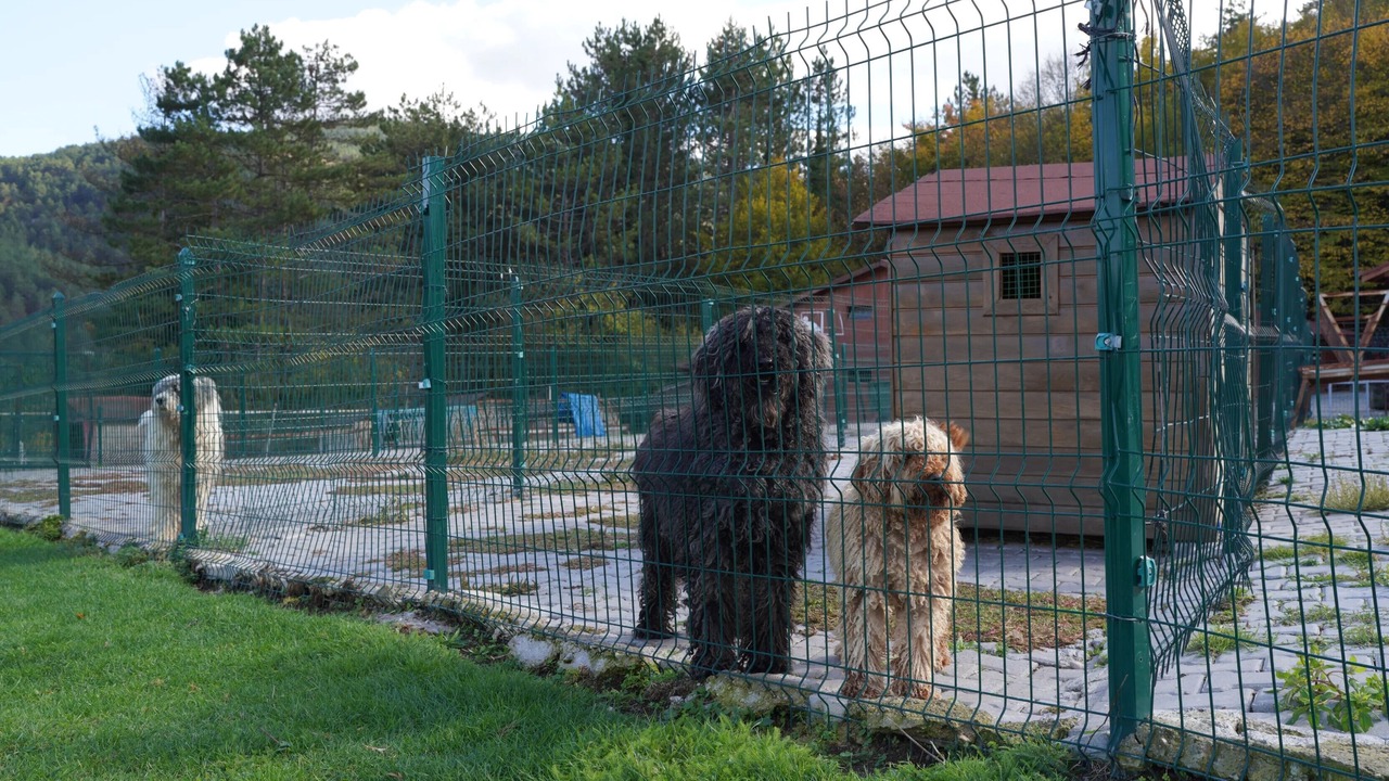 Photo of Outdoor in Mengen