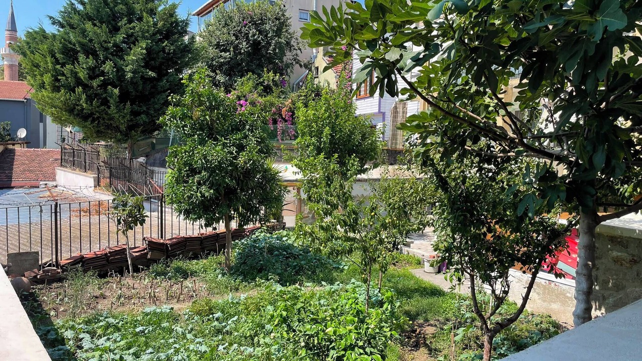 Photo of Outdoor in Sultanahmet