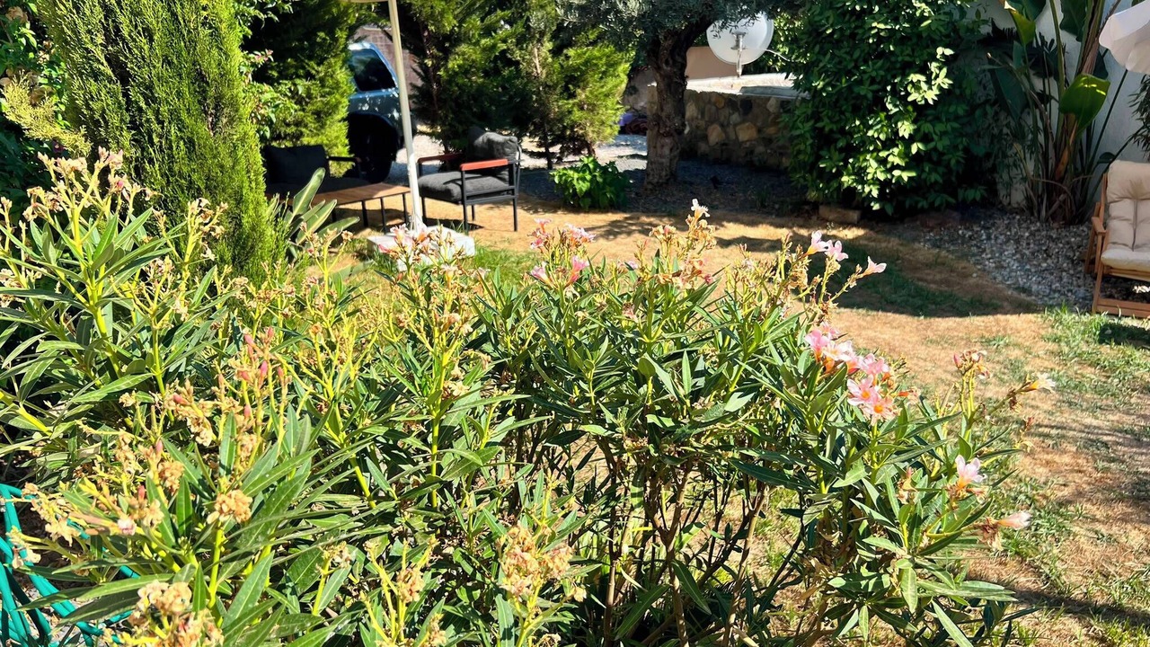 Photo of Outdoor in Mithatpasa