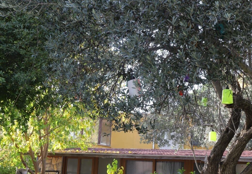 Photo of Outdoor in Bornova