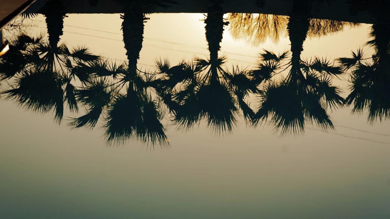 Photo of Outdoor in Urla