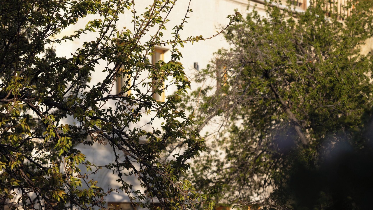 Photo of Outdoor in Ortahisar