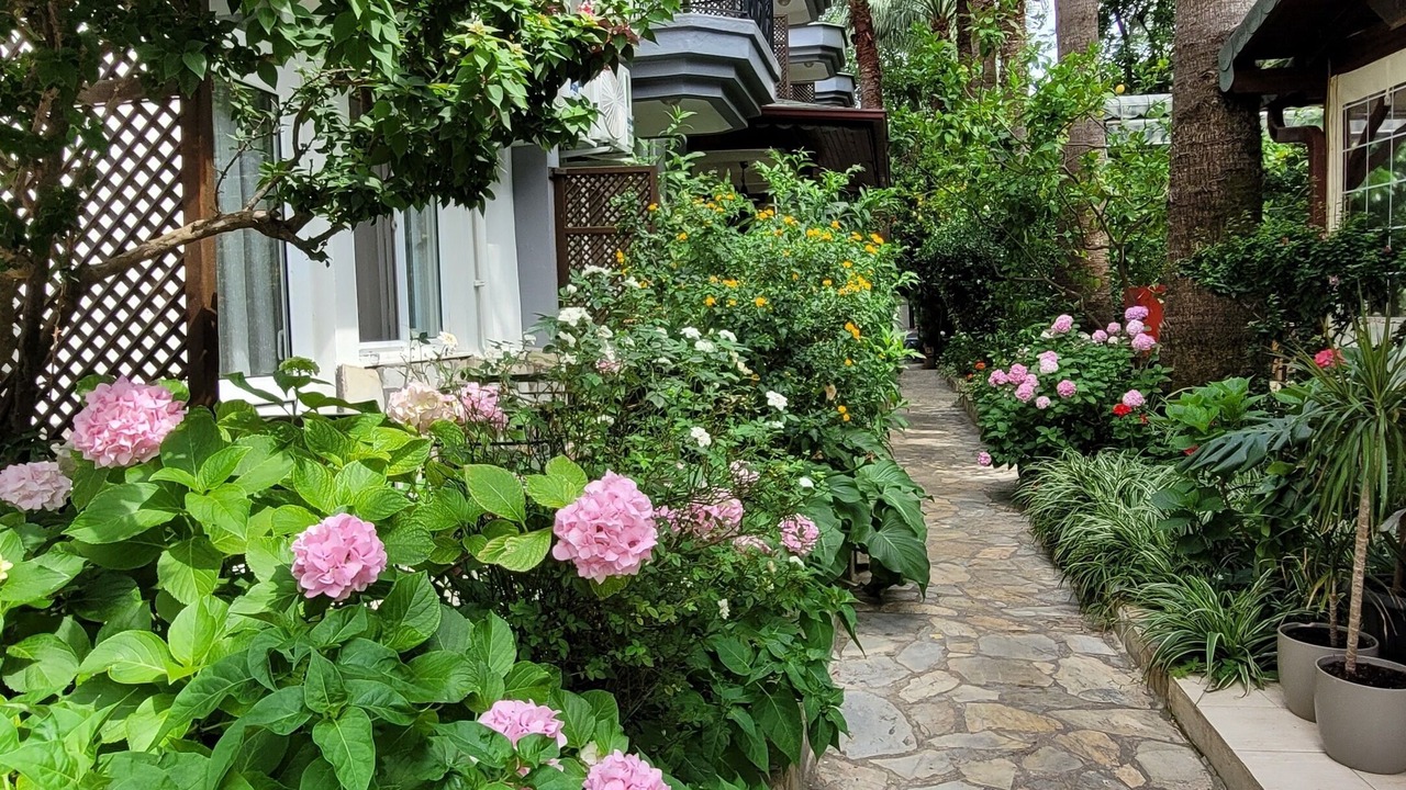 Photo of Outdoor in Cirali