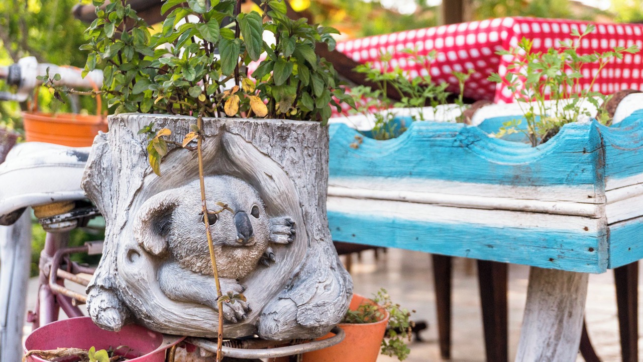 Photo of Outdoor in Olympos