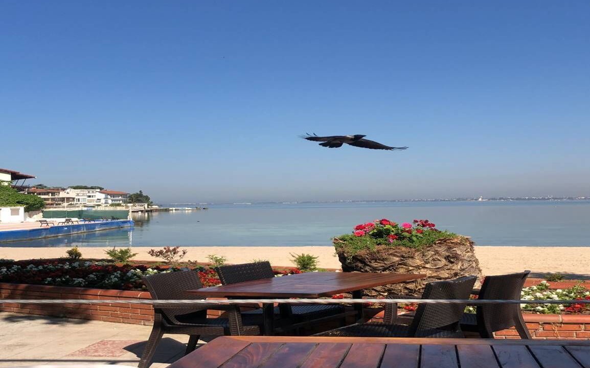 Photo of Others in Bayramoglu Mahallesi