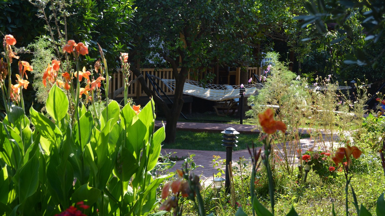Photo of Outdoor in Cirali