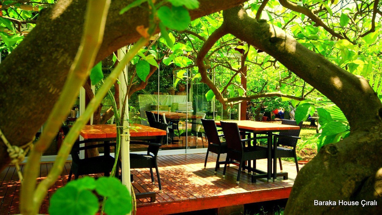 Photo of Outdoor in Cirali