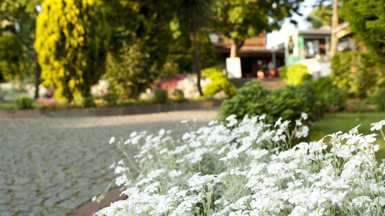Photo of Outdoor in Sakarya