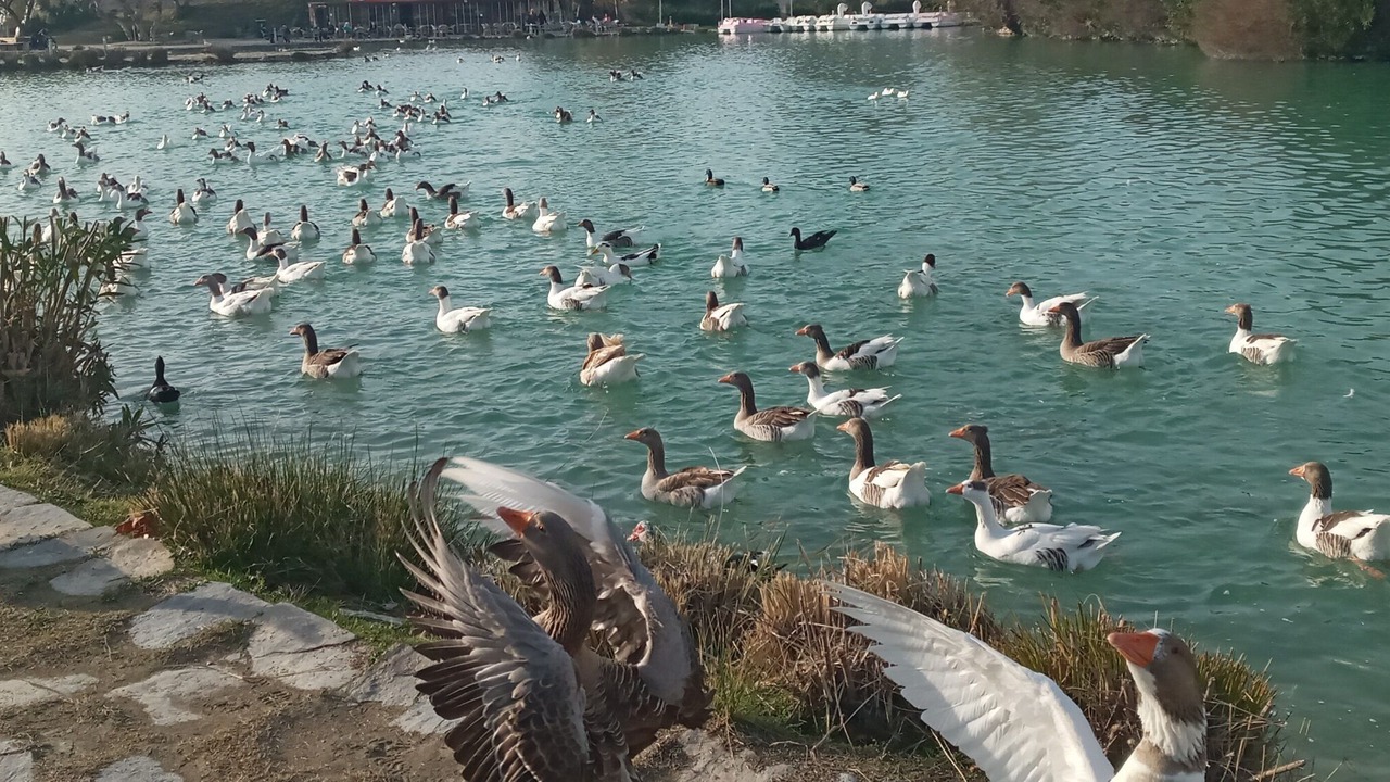 Photo of Outdoor in Karahayit
