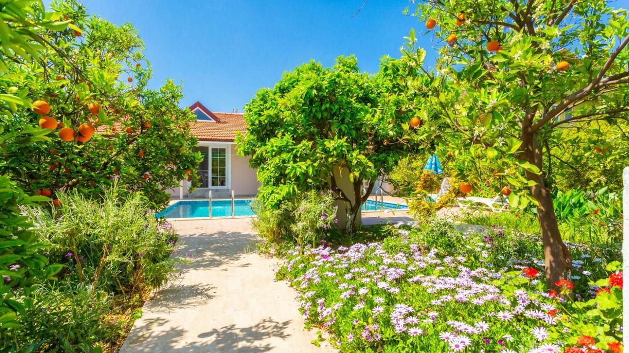 Photo of Outdoor in Dalyan