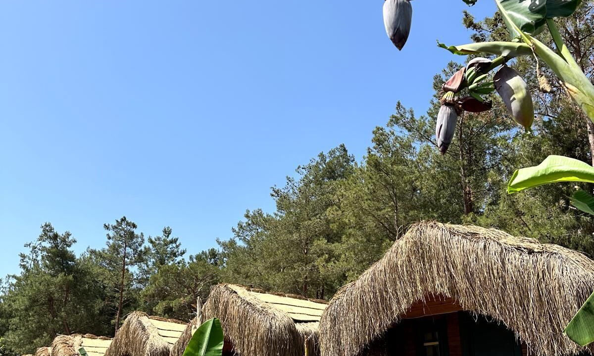 Photo of Outdoor in Hisaronu