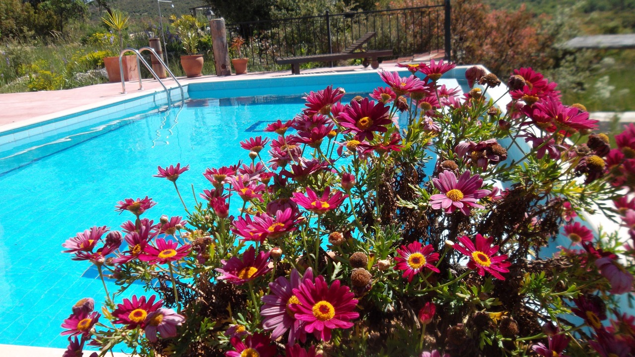 Photo of Outdoor in Kas