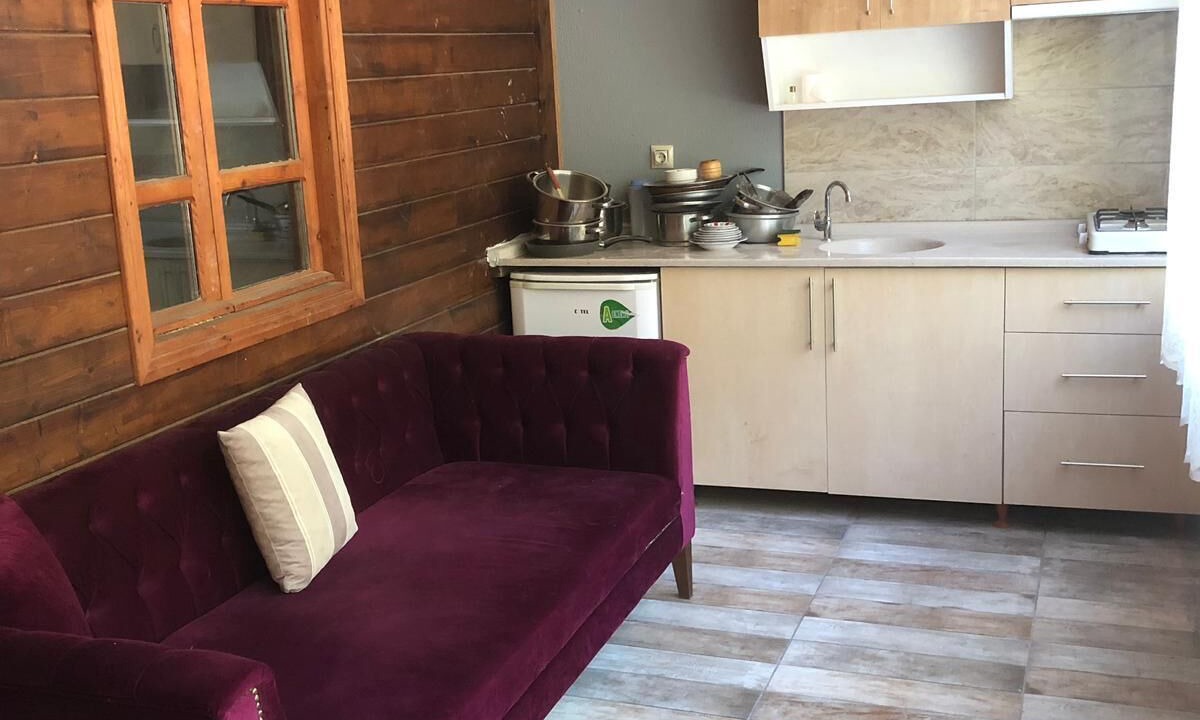 Photo of Livingroom in Uzungol