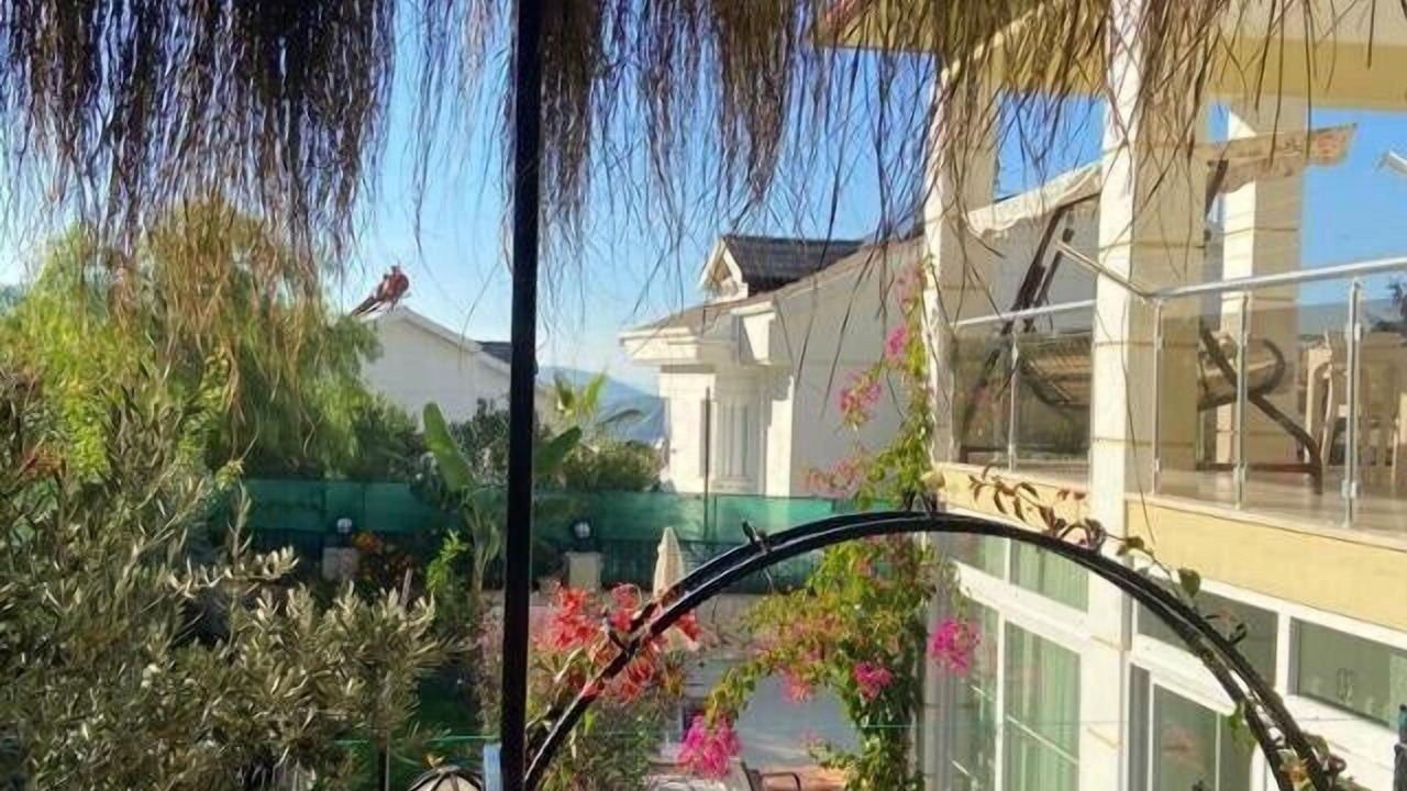 Photo of Outdoor in Fethiye City Center