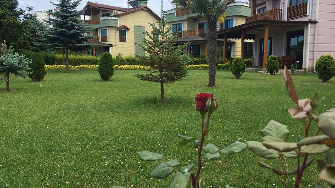 Photo of Outdoor in Arsin