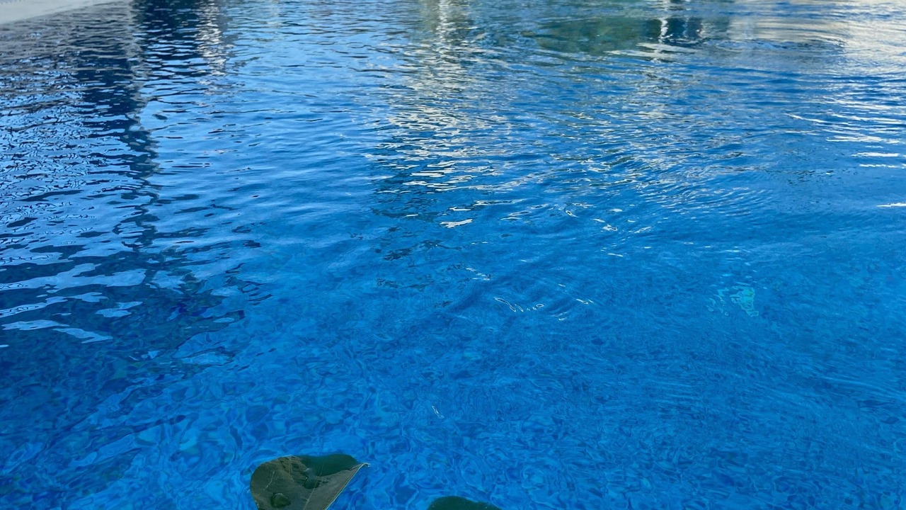 Photo of Outdoor in Dalyan