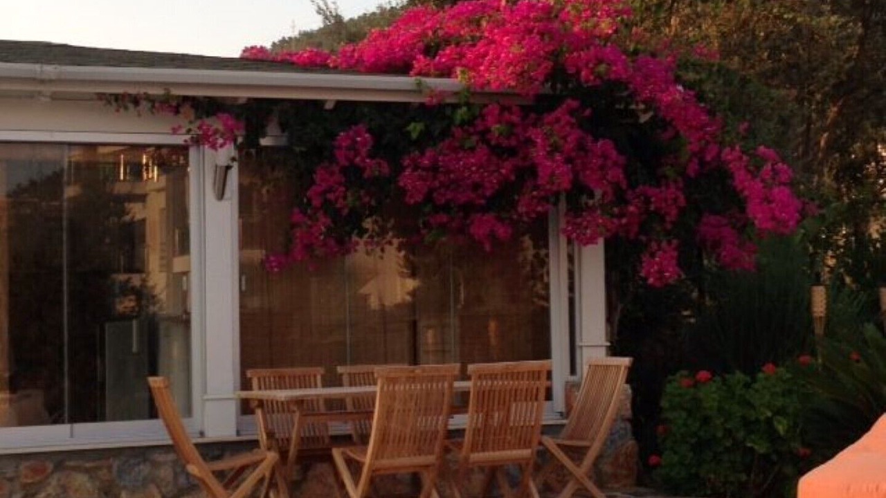 Photo of Outdoor in Bodrum City Center