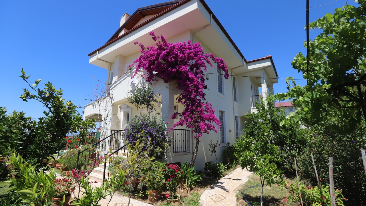 Photo of Others in Fethiye