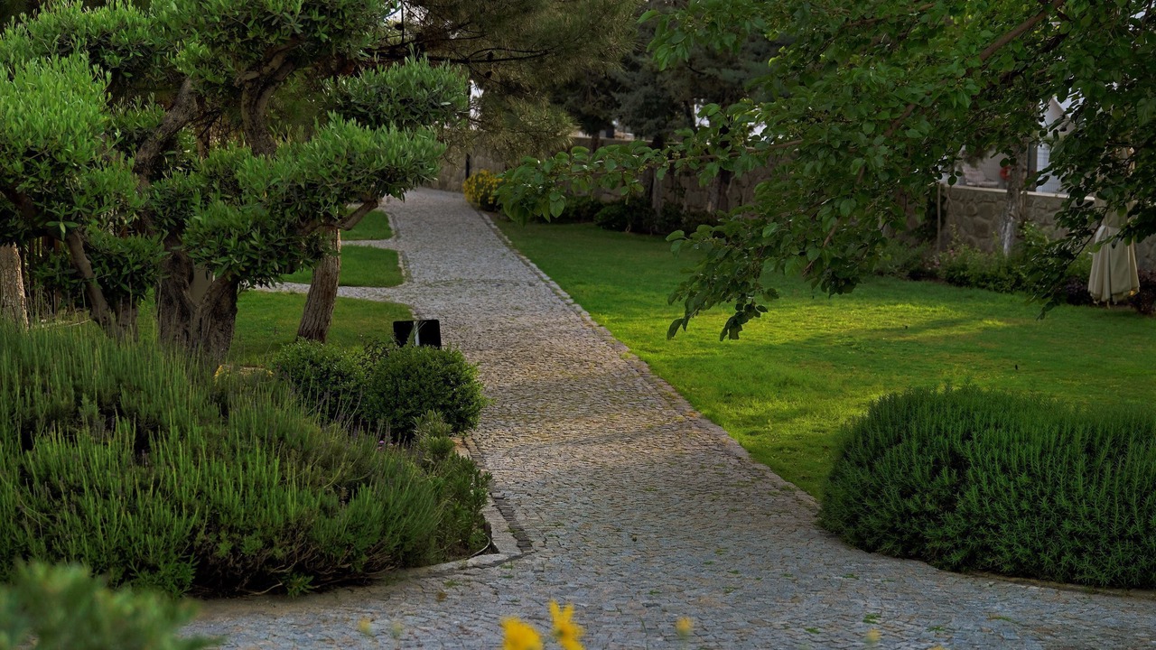 Photo of Outdoor in Bodrum City Center