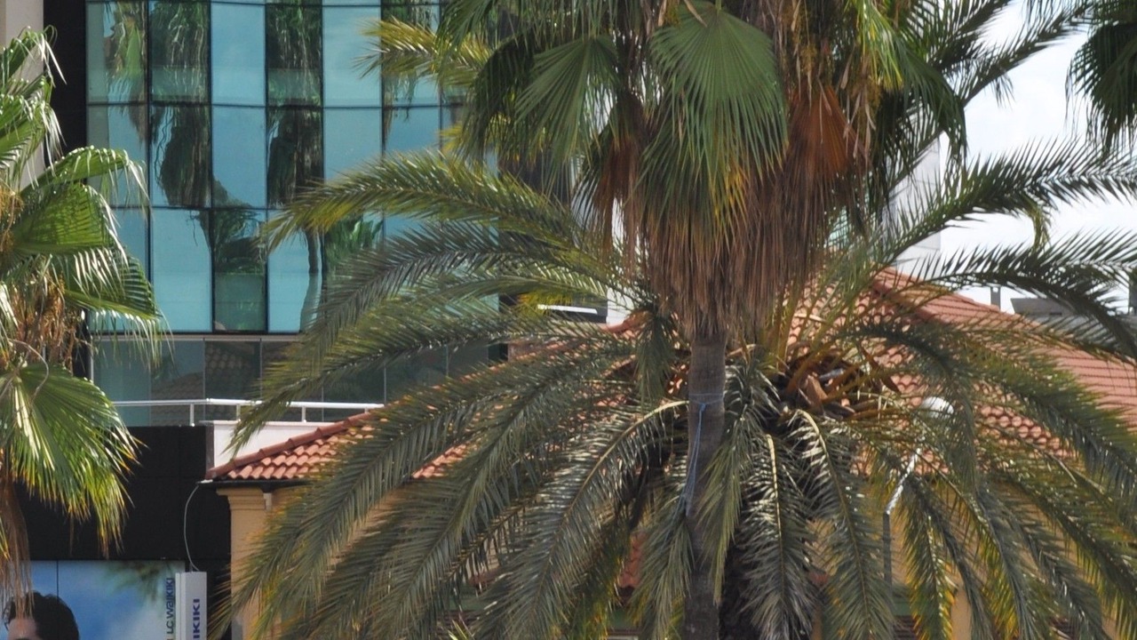Photo of Outdoor in Kaleici