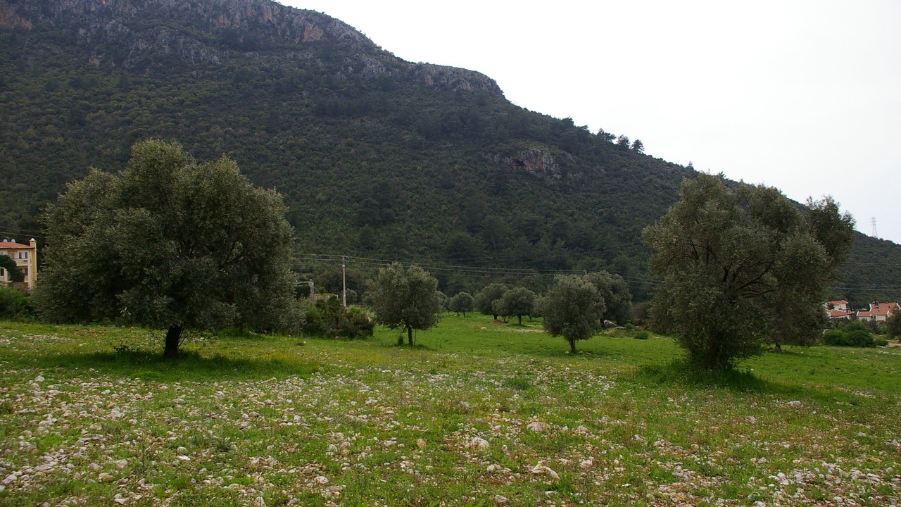 Photo of Others in Oludeniz