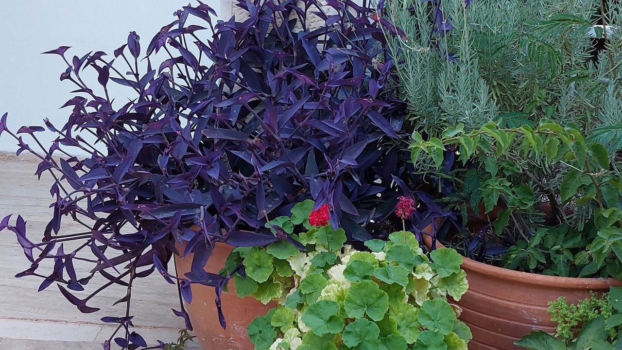 Photo of Outdoor in Kalkan