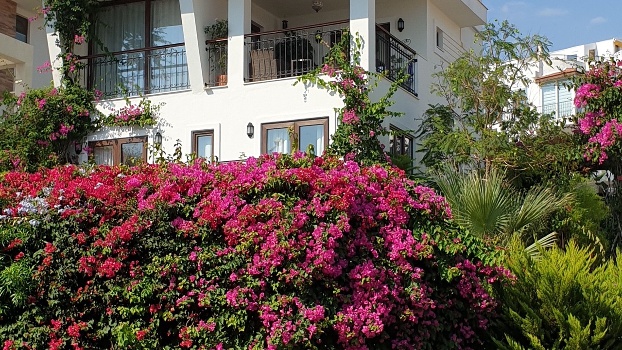 Photo of Others in Kalkan